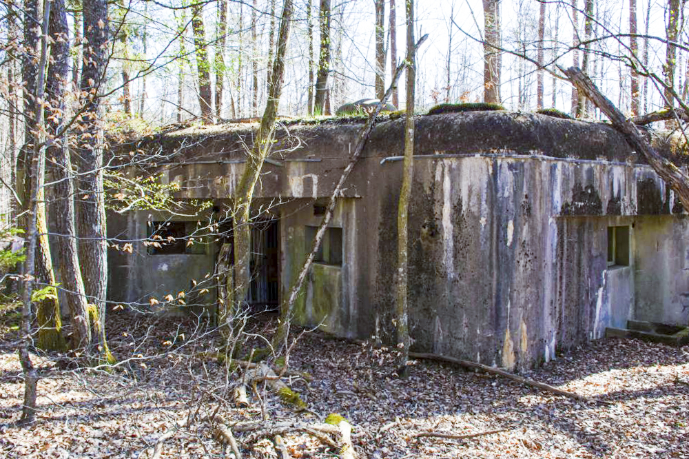 Ligne Maginot - BIESENBERG 7 - (Blockhaus pour arme infanterie) -  - Rémy RICHTER