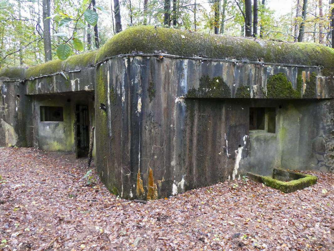 Ligne Maginot - BIESENBERG 7 - (Blockhaus pour arme infanterie) - Façade sud - ELLENA - CUNY