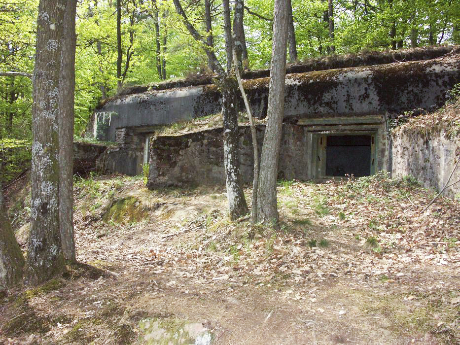 Ligne Maginot - BIESENBERG - (Casemate d'artillerie) - Vue d'ensemble - Pascal LAMBERT