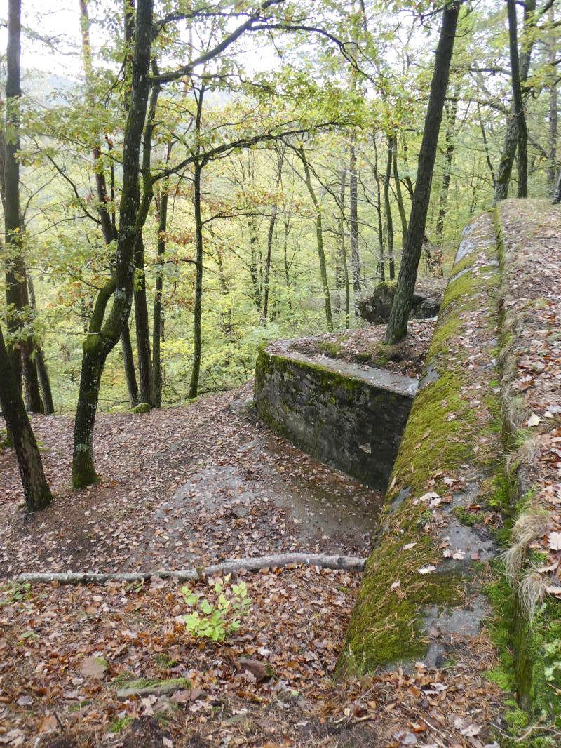 Ligne Maginot - BIESENBERG - (Casemate d'artillerie) -  - ELLENA - CUNY