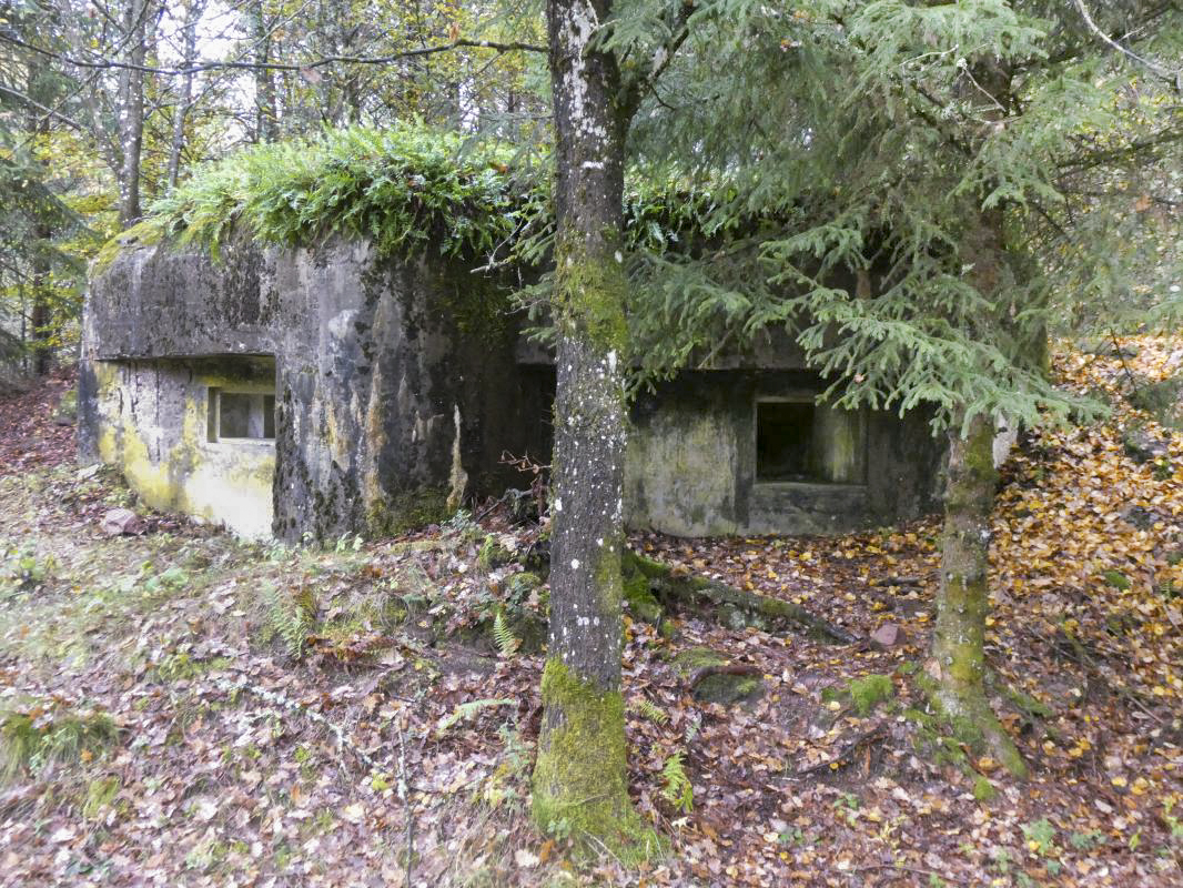 Ligne Maginot - GLASBRONN 2 - (Blockhaus pour arme infanterie) -  - ELLENA - CUNY