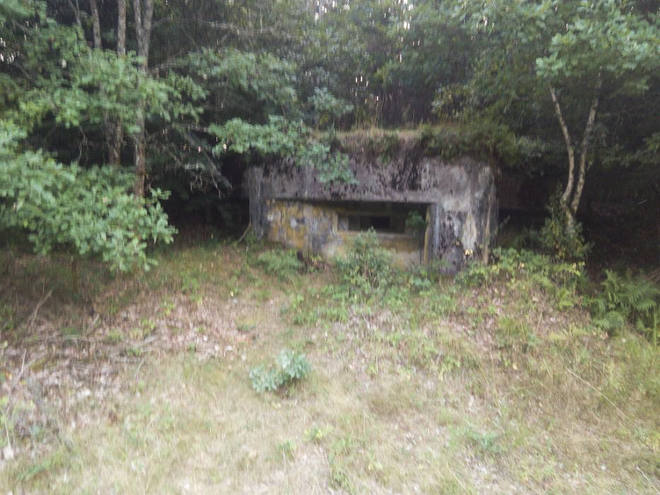 Ligne Maginot - GLASBRONN 2 - (Blockhaus pour arme infanterie) -  - donceuh