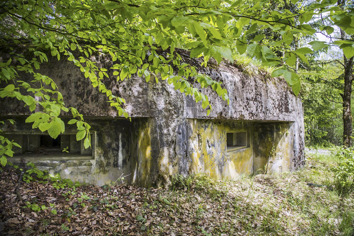 Ligne Maginot - GLASBRONN 2 - (Blockhaus pour arme infanterie) -  - Lia VERMEULEN