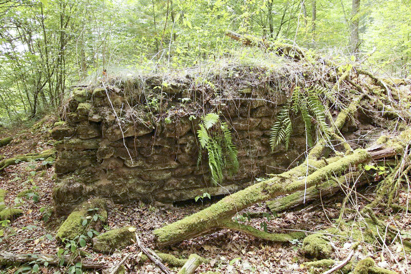 Ligne Maginot - GLASBRONN 1 - (Blockhaus pour arme infanterie) - Etat en 2016, le temps fait son œuvre - GRUBER Franck