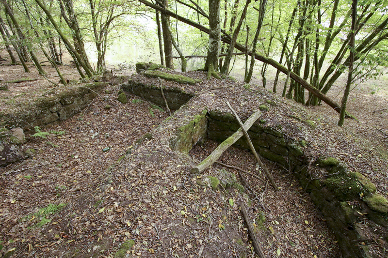 Ligne Maginot - Position de la maison forestière du Biesenberg -  - GRUBER Franck