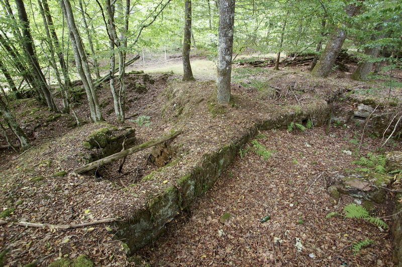 Ligne Maginot - Position de la maison forestière du Biesenberg -  - GRUBER Franck