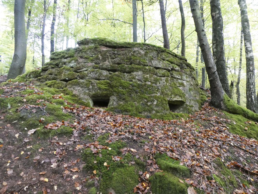 Ligne Maginot - BIESENBERG 6 - (Cuve pour arme d'infanterie) -  - ELLENA - CUNY