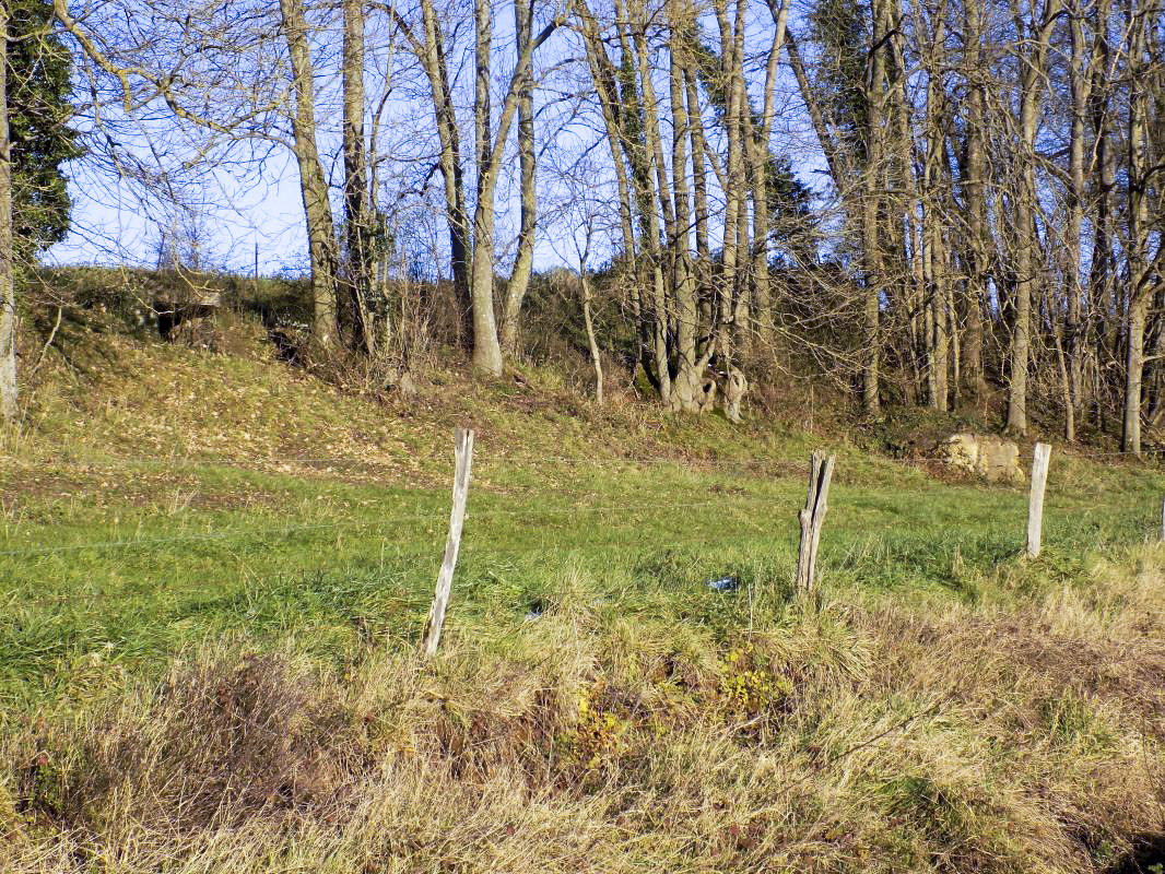 Ligne Maginot - Cuve à mortier de la SERPE - Les deux constructions, bloc B78ter derrière les arbres - R Tucker
