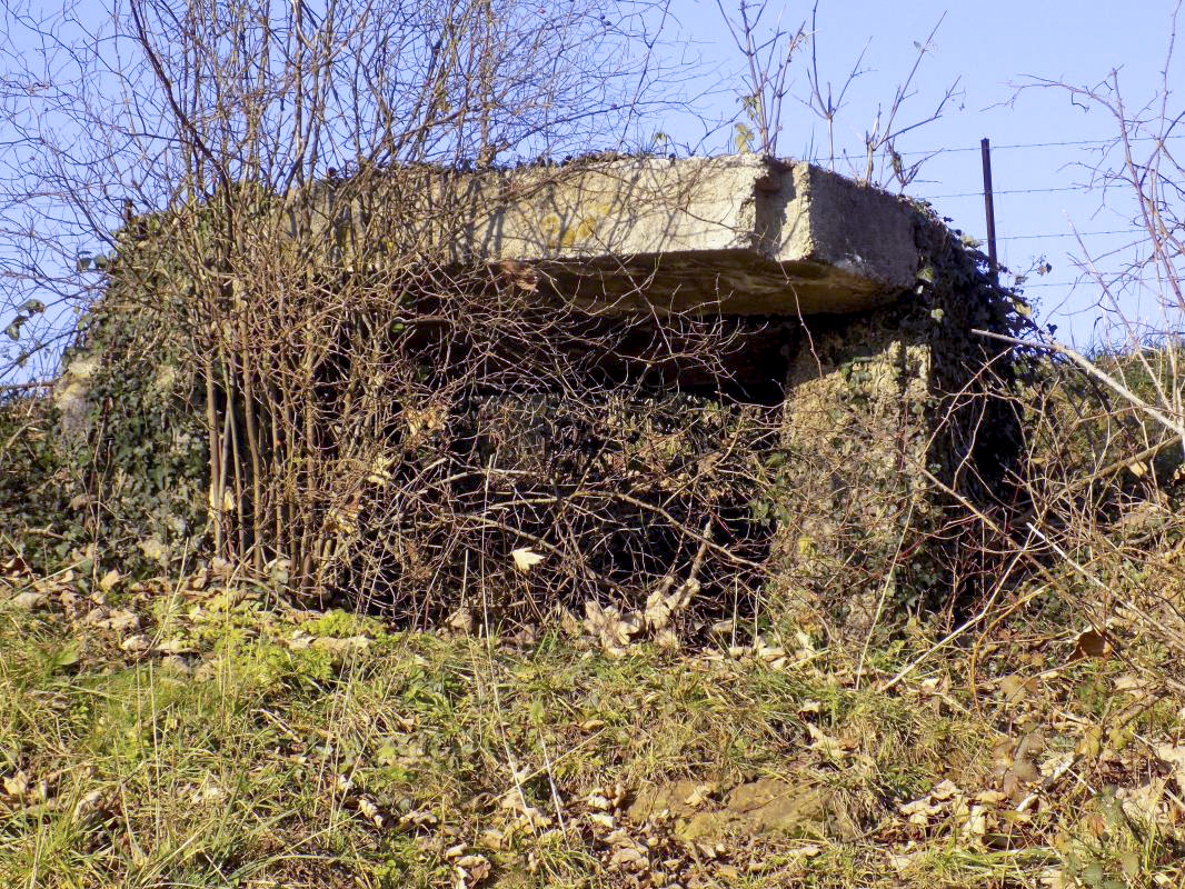 Ligne Maginot - Cuve à mortier de la SERPE - Construction le plus élevée des deux - R Tucker