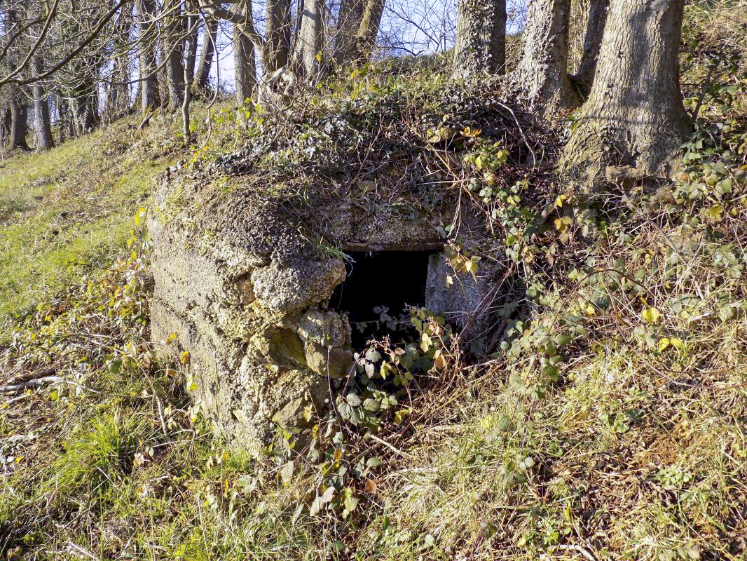 Ligne Maginot - Cuve à mortier de la SERPE - Face droite, l'entrée - R Tucker