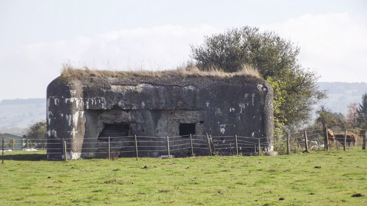 Ligne Maginot - A107 - CROIX-MOREL - (Blockhaus lourd type STG / STG-FCR - Double) - Créneaux flanquant vers l'ouest - David HARMAND