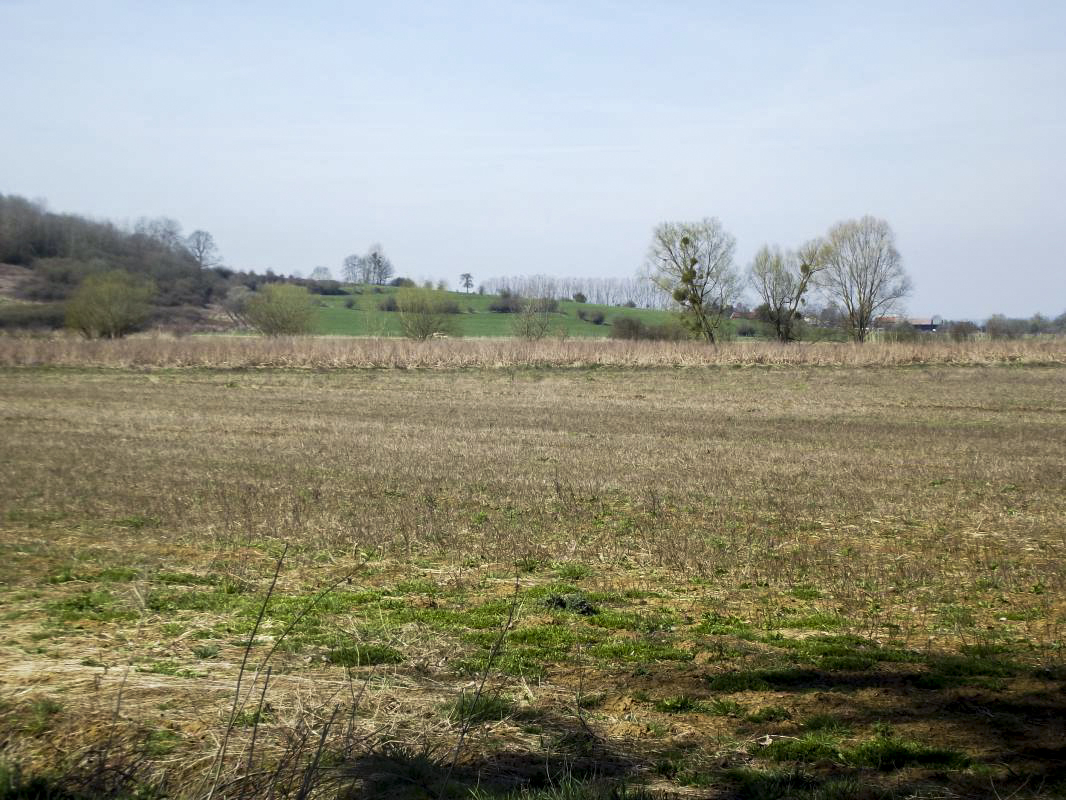 Ligne Maginot - T2BIS - (Cuve pour arme d'infanterie) - Vue vers l'ouvrage de La Ferté, on voit le réseau de barbelés qui descend vers la Chiers - david harmand