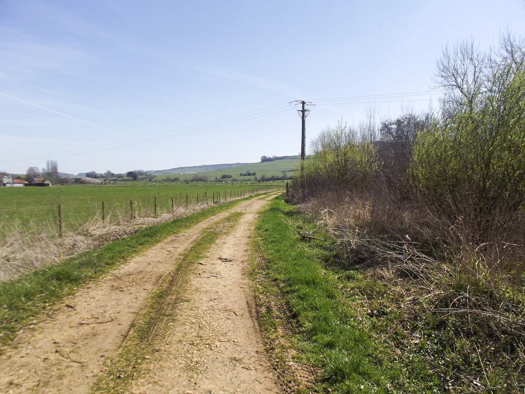 Ligne Maginot - T2BIS - (Cuve pour arme d'infanterie) - Vue vers la colline de Saint Walfroy - david harmand