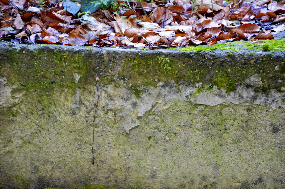 Ligne Maginot - 8° RTM - FONTAINE - (Divers) - Inscription 8 RTM et 10.06.39 sont sur la même ligne - D. Froehly