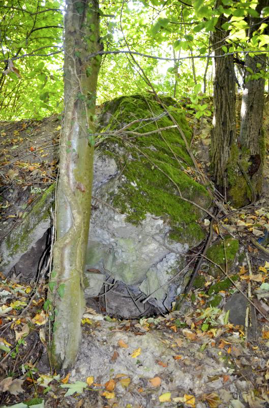 Ligne Maginot - 115 - RAEDERSDORF - (Casemate d'artillerie) - Blocs de béton - D. Froehly