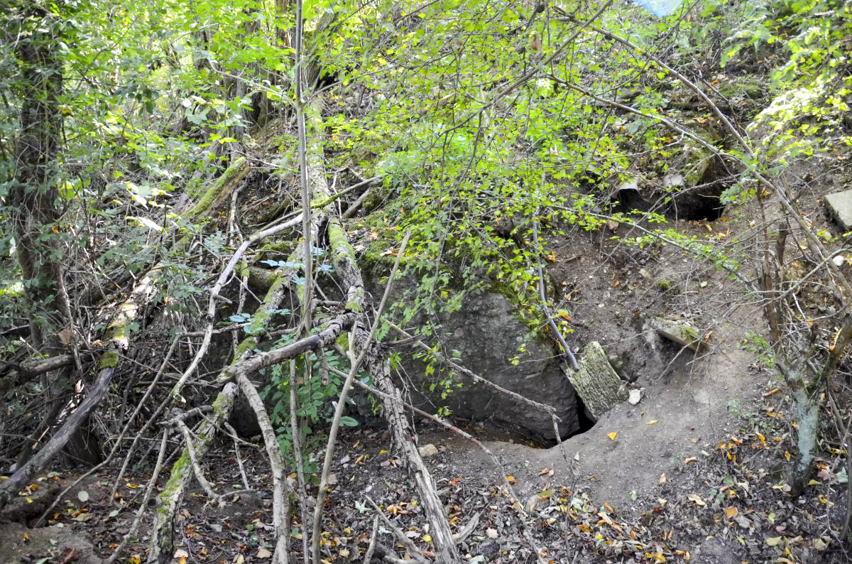 Ligne Maginot - 115 - RAEDERSDORF - (Casemate d'artillerie) - Le temps ravine les cotés et laisse apparaître le béton et les tôles. - D. Froehly