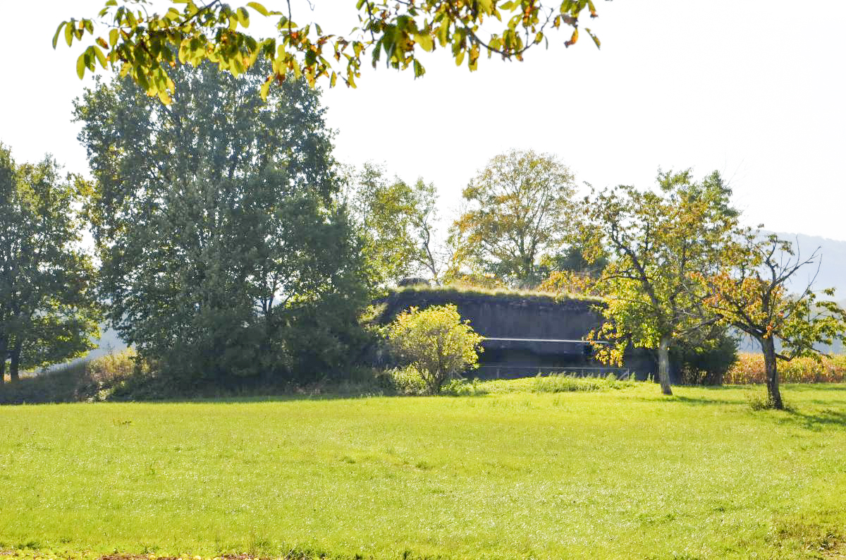 Ligne Maginot - 114 - RAEDERSDORF - (Casemate d'infanterie - Double) - Vue d'ensemble coté nord - D. Froehly