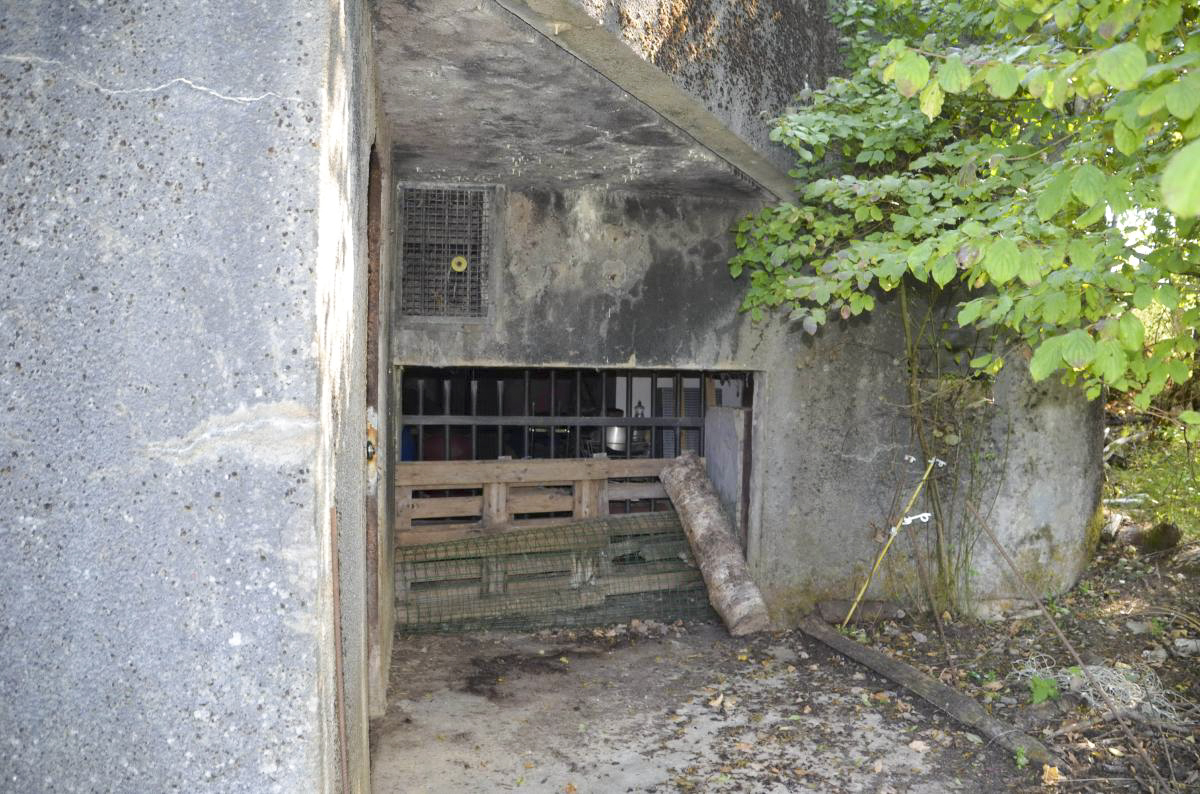 Ligne Maginot - 114 - RAEDERSDORF - (Casemate d'infanterie - Double) - Entrée du matériel en face et des hommes à gauche - D. Froehly