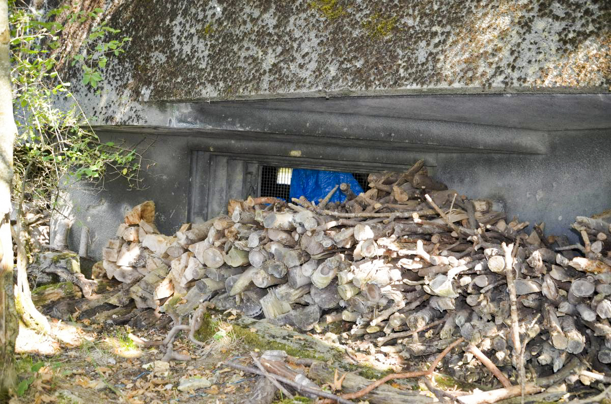 Ligne Maginot - 114 - RAEDERSDORF - (Casemate d'infanterie - Double) - Créneaux canon sud - D. Froehly