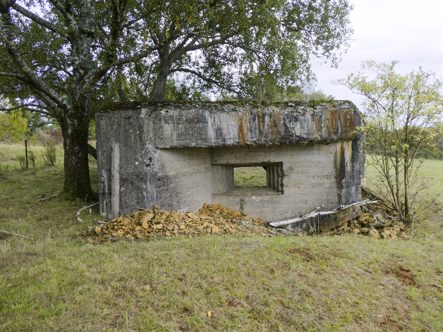Ligne Maginot - SAINT WALFROY EST - (Blockhaus pour canon) -  - ELLENA - CUNY