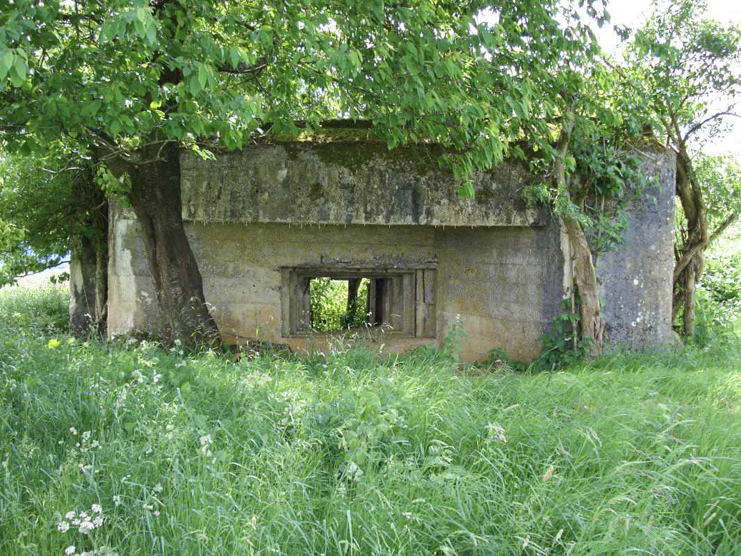 Ligne Maginot - SAINT WALFROY OUEST - (Blockhaus pour canon) - Face frontale - R Tucker