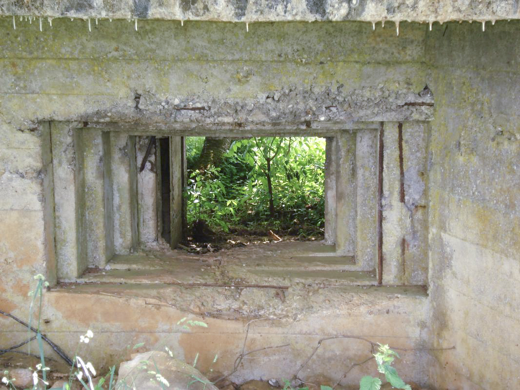 Ligne Maginot - SAINT WALFROY OUEST - (Blockhaus pour canon) - Créneau AC avec entrée AC à l’arrière - R Tucker