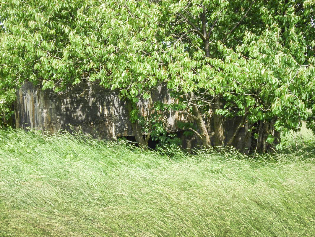 Ligne Maginot - SAINT WALFROY OUEST - (Blockhaus pour canon) - L'entrée pour le canon AC - R Tucker