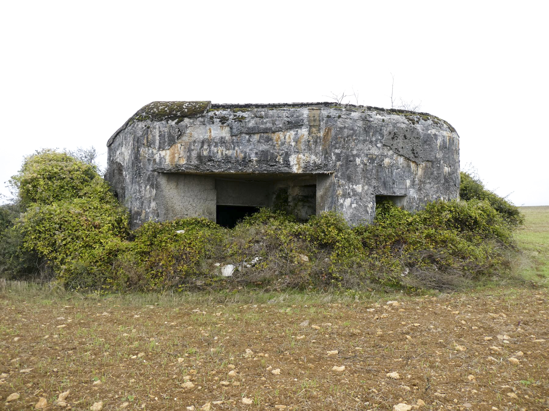 Ligne Maginot - MB351 - (Blockhaus lourd type STG / STG-FCR - Simple) -  - ELLENA - CUNY