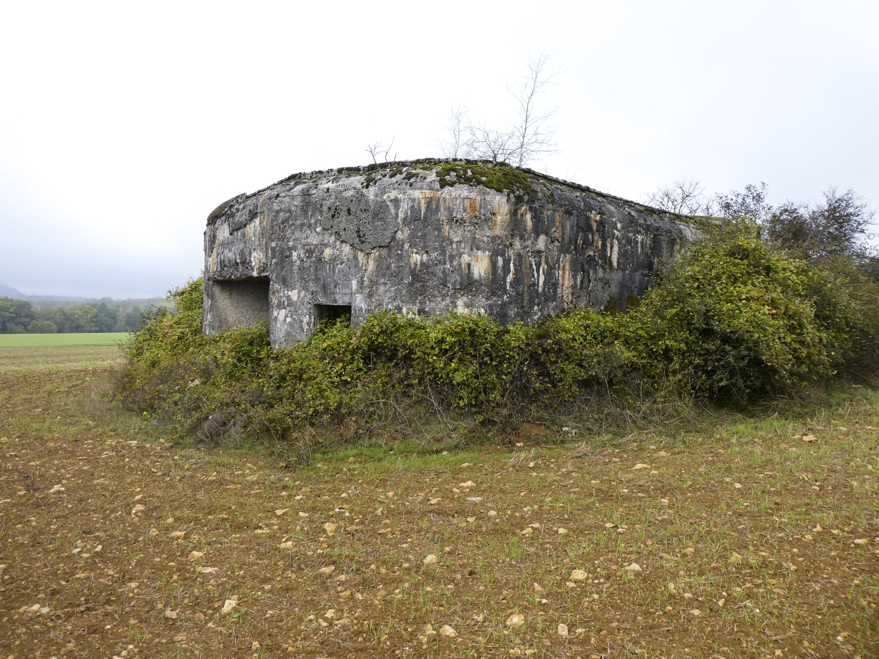 Ligne Maginot - MB351 - (Blockhaus lourd type STG / STG-FCR - Simple) -  - ELLENA - CUNY