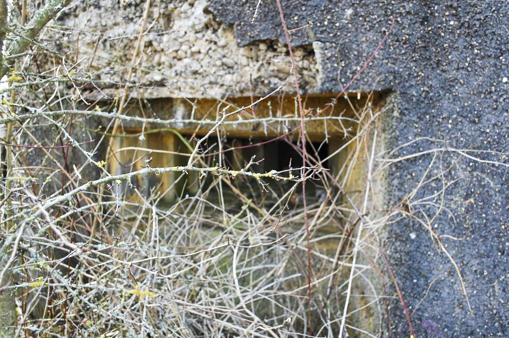 Ligne Maginot - MB351 - (Blockhaus lourd type STG / STG-FCR - Simple) - Créneau de tir vu de l'extérieur - Christian RICHON/devoitine520