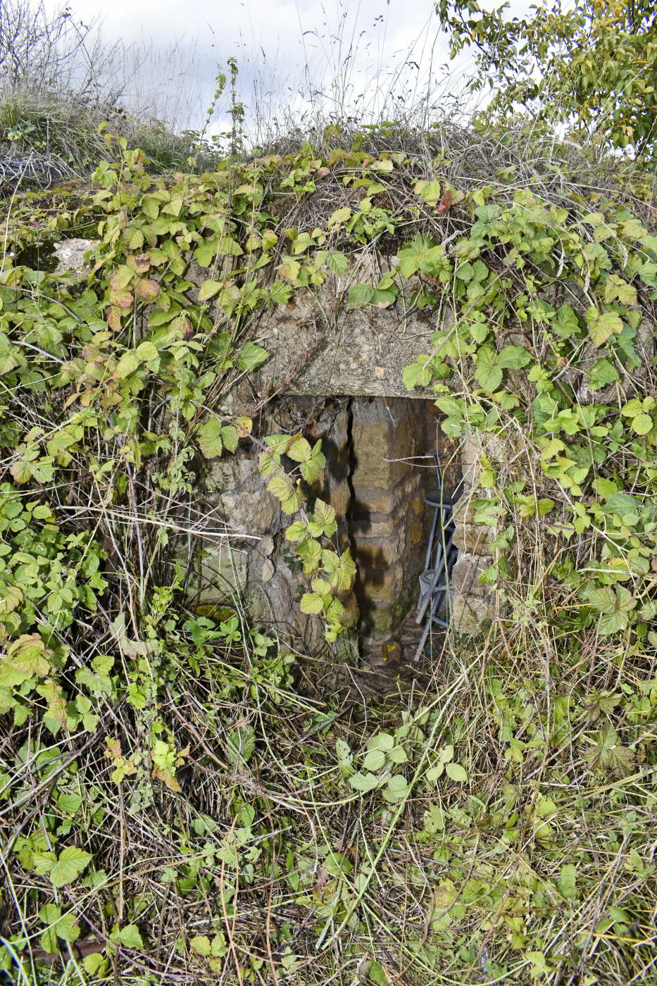 Ligne Maginot - VILLY 3 - B37 - (Blockhaus pour arme infanterie) - L'entrée - D.Froehly
