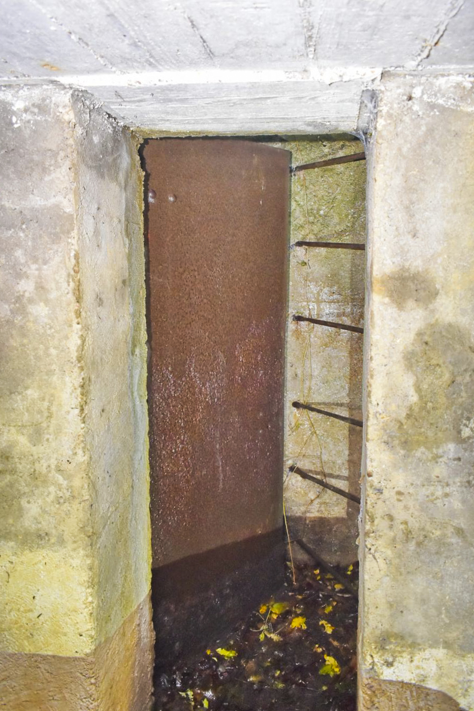 Ligne Maginot - 57 - SAINTE ERNELLE - (Blockhaus pour arme infanterie) - L'escalier et la porte - D.Froehly