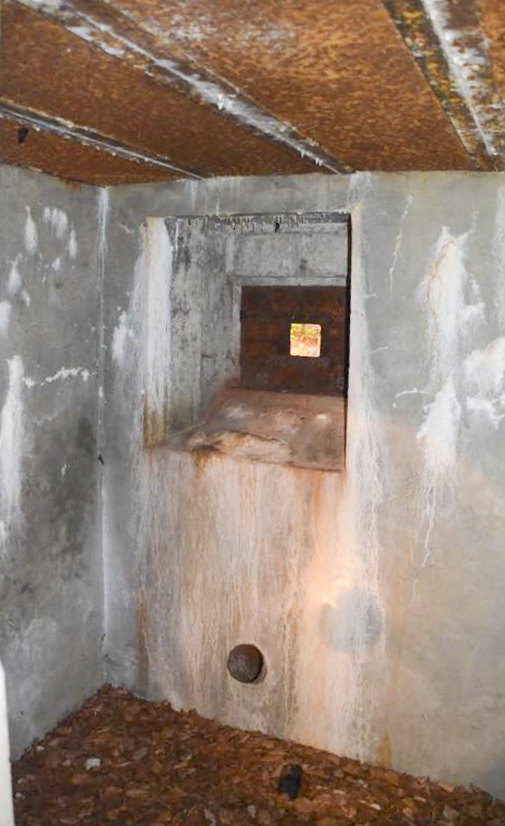 Ligne Maginot - C3 - (Blockhaus pour arme infanterie) - Chambre de tir FM - D. Froehly