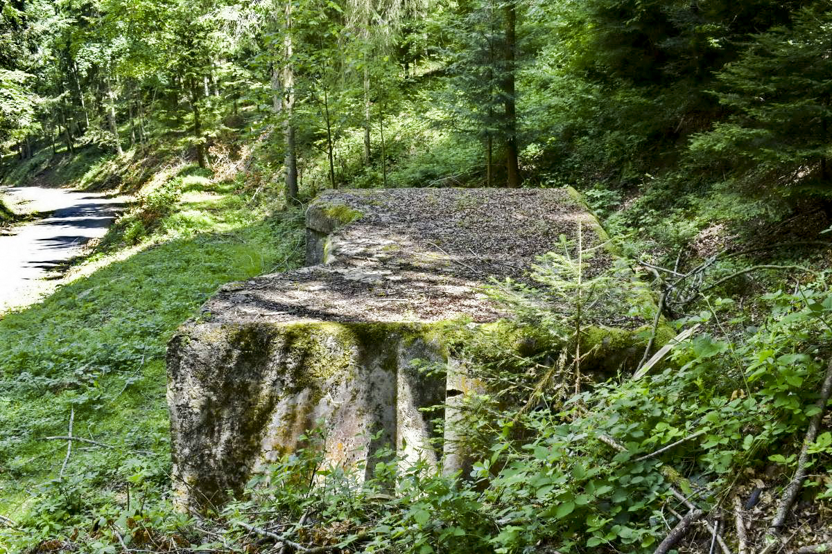 Ligne Maginot - CHARRIERE 1 (SOUS-QUARTIER OUEST) - (PC de Sous-Quartier) - Vue de haut - D. Froehly