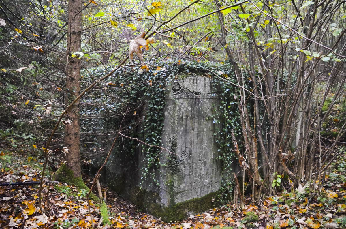 Ligne Maginot - COL DE NEUNEICH - (Abri) - Vue coté nord - D. Froehly