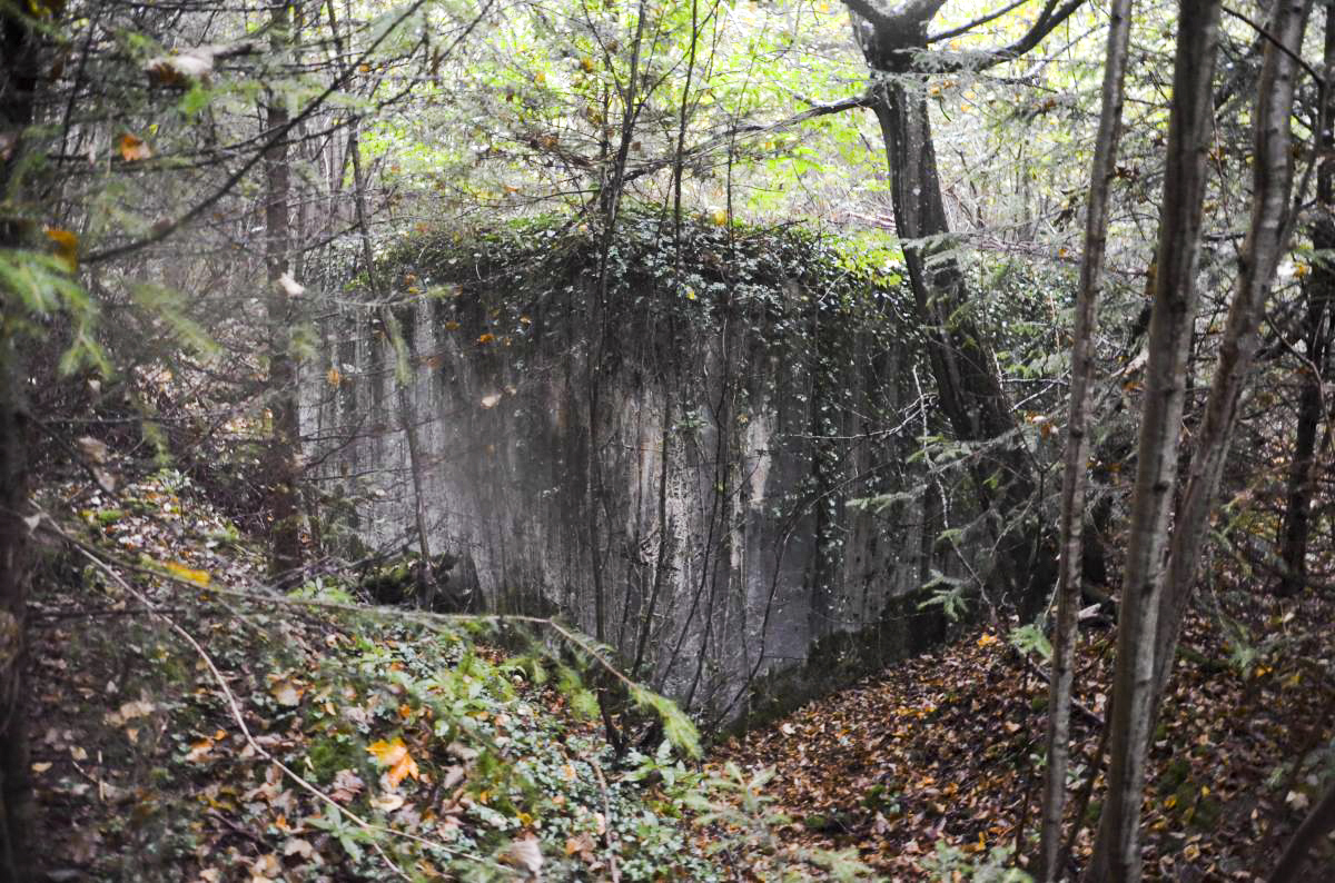 Ligne Maginot - COL DE NEUNEICH - (Abri) - Vue coté sud avec son mur aveugle - D. Froehly