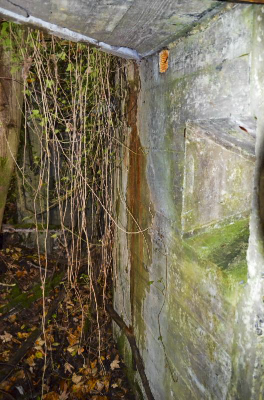 Ligne Maginot - COL DE NEUNEICH - (Abri) - L'entrée droite et créneau de tir - D. Froehly
