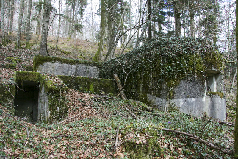 Ligne Maginot - GEBIRGMATTEN NORD - (Blockhaus pour arme infanterie) -  - Alain Perouffe