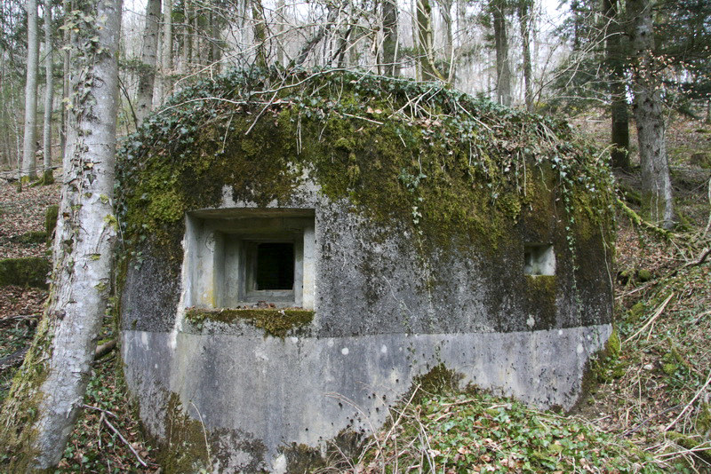 Ligne Maginot - GEBIRGMATTEN NORD - (Blockhaus pour arme infanterie) -  - Alain Perouffe