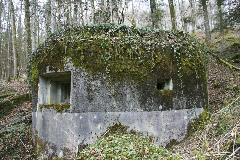 Ligne Maginot - GEBIRGMATTEN NORD - (Blockhaus pour arme infanterie) -  - Alain Perouffe