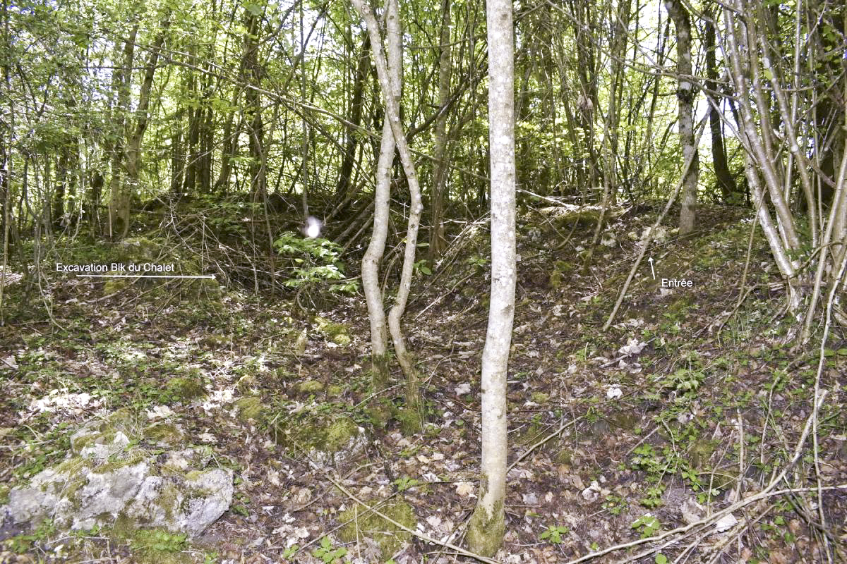 Ligne Maginot - GLASERBERG OUEST - (Position d'artillerie préparée) -  - D. Froehly