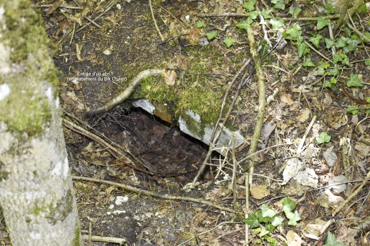 Ligne Maginot - GLASERBERG OUEST - (Position d'artillerie préparée) - Abri en tôle metro - D. Froehly