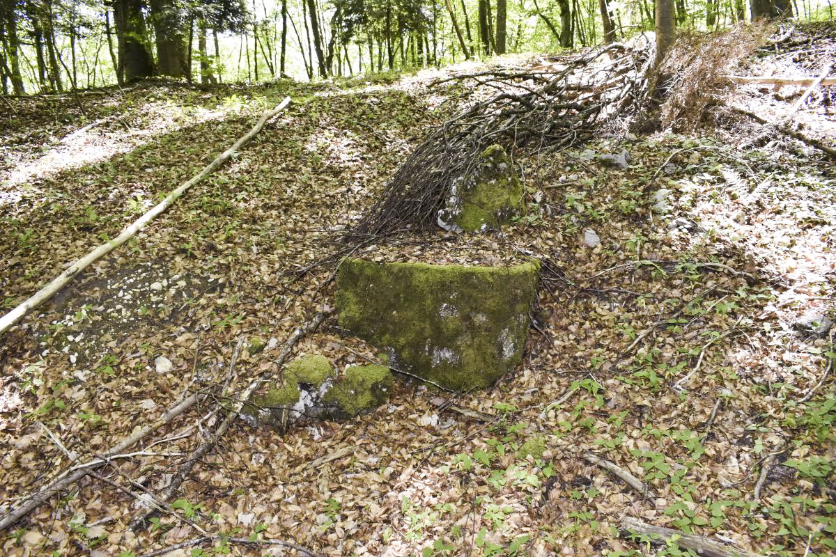 Ligne Maginot - Funiculaire du GLASERBERG - Massif support du treuil ? - D. Froehly