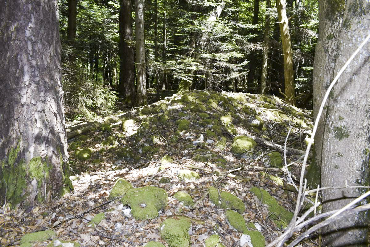 Ligne Maginot - GLASERBERG EST - (Position d'artillerie préparée) - Monticule de pierre, destiné à encadrer la position d'un mortier - D. Froehly