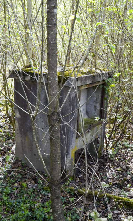 Ligne Maginot - GLASERBERG 5 - (Chambre de coupure) -  - D. Froehly