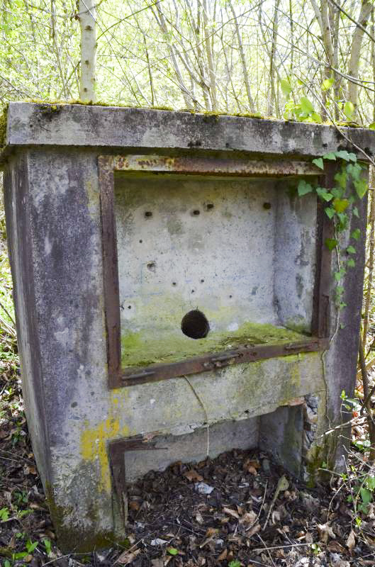 Ligne Maginot - GLASERBERG 5 - (Chambre de coupure) -  - D. Froehly