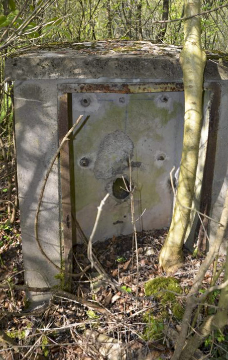 Ligne Maginot - GLASERBERG 5 - (Chambre de coupure) -  - D. Froehly