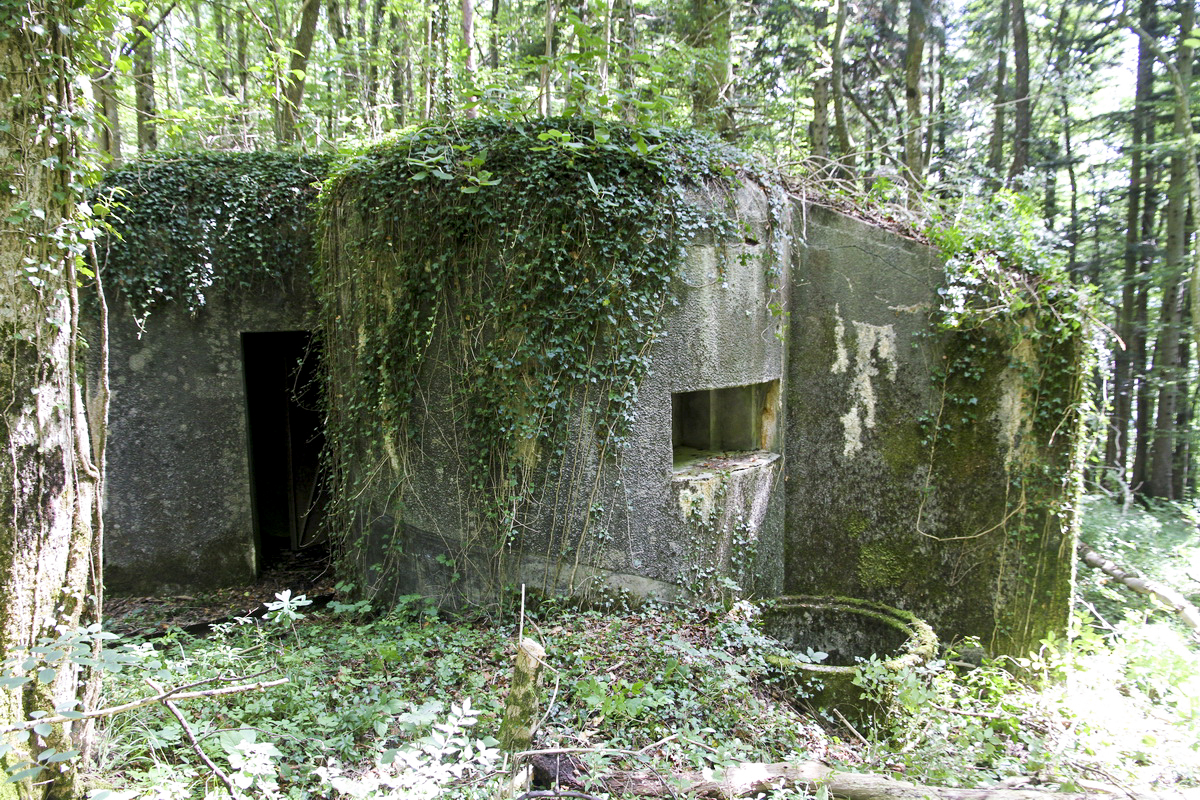 Ligne Maginot - HORNI-FERME - (Blockhaus pour arme infanterie) - Flanquement ouest (Mit), et entrée à gauche - JOLAS, Jean-Michel