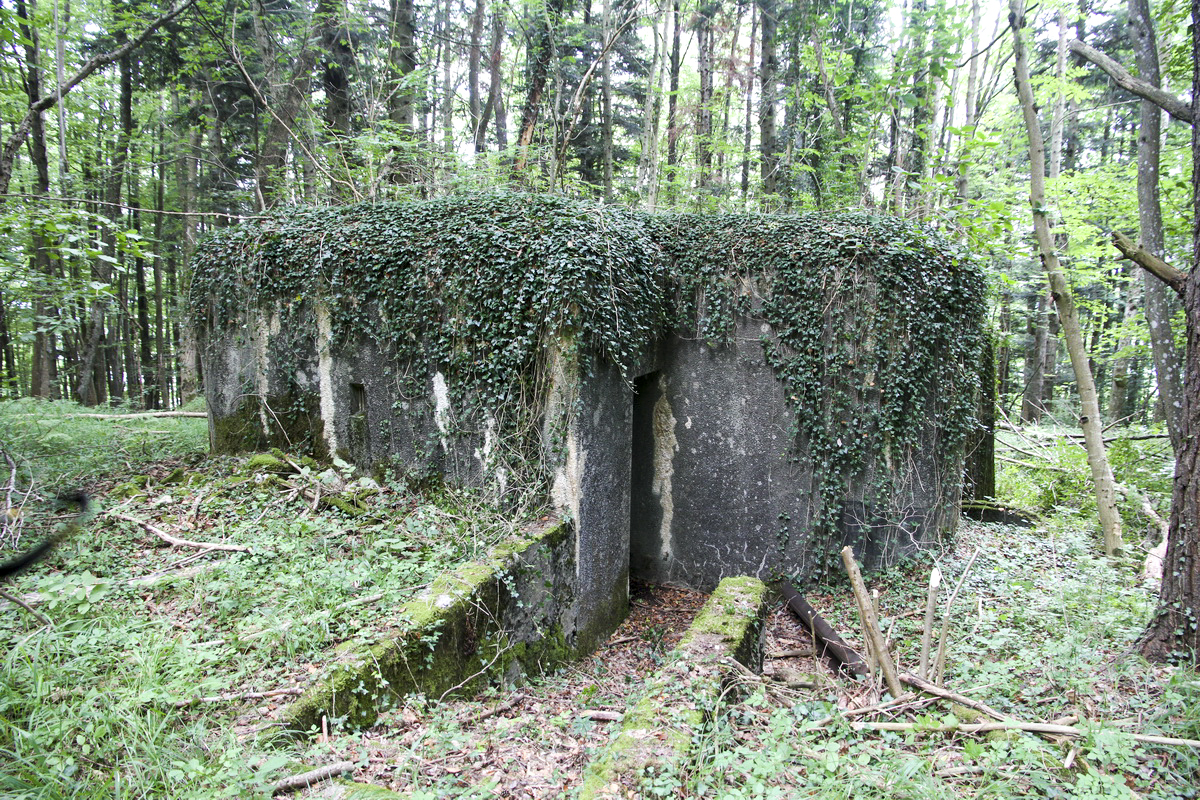 Ligne Maginot - HORNI-FERME - (Blockhaus pour arme infanterie) - Face arrière et entrée - JOLAS, Jean-Michel