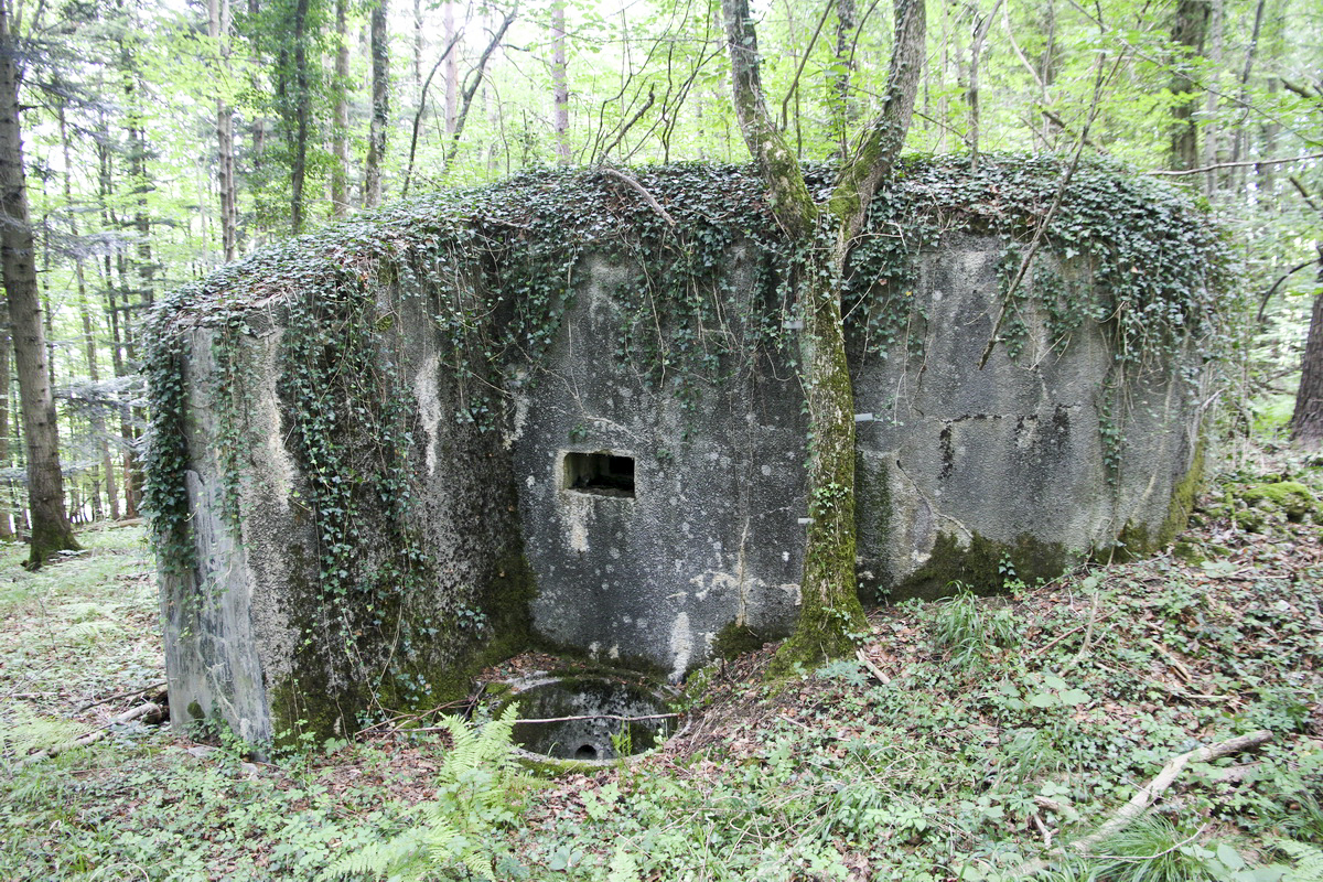 Ligne Maginot - HORNI-FERME - (Blockhaus pour arme infanterie) - Flanquement est (FM) - JOLAS, Jean-Michel